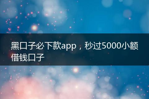 黑口子必下款app，秒过5000小额借钱口子