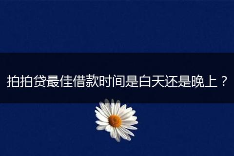拍拍贷最佳借款时间是白天还是晚上？