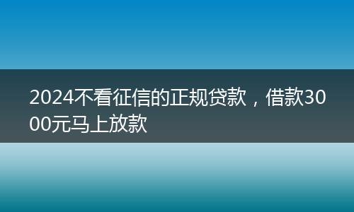 2024不看征信的正规贷款，借款3000元马上放款