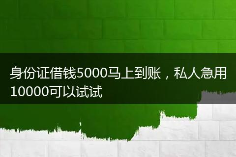 身份证借钱5000马上到账，私人急用10000可以试试