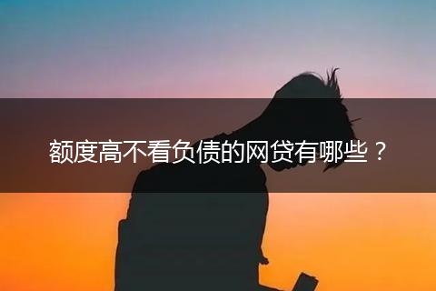 额度高不看负债的网贷有哪些？