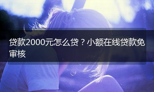 贷款2000元怎么贷？小额在线贷款免审核