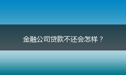 金融公司贷款不还会怎样？
