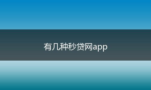 有几种秒贷网app