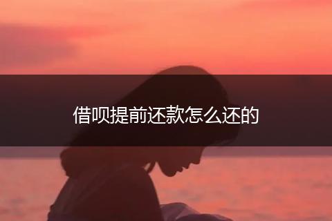 借呗提前还款怎么还的