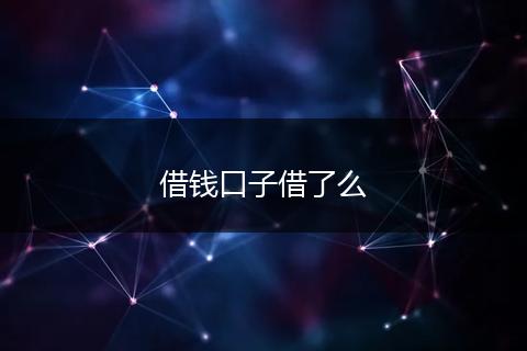 借钱口子借了么