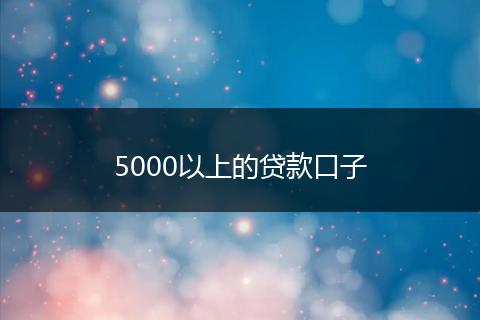 5000以上的贷款口子
