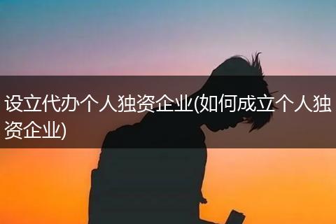 设立代办个人独资企业(如何成立个人独资企业)