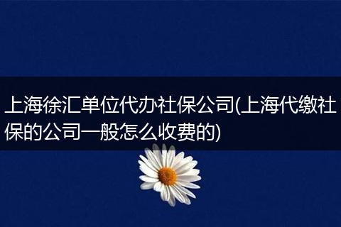上海徐汇单位代办社保公司(上海代缴社保的公司一般怎么收费的)