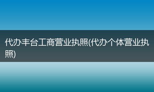 代办丰台工商营业执照(代办个体营业执照)