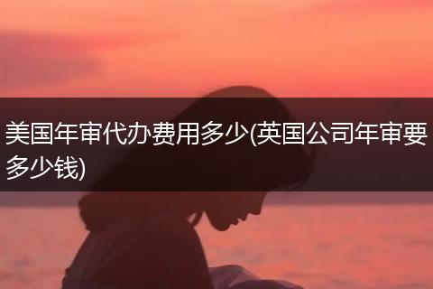 美国年审代办费用多少(英国公司年审要多少钱)