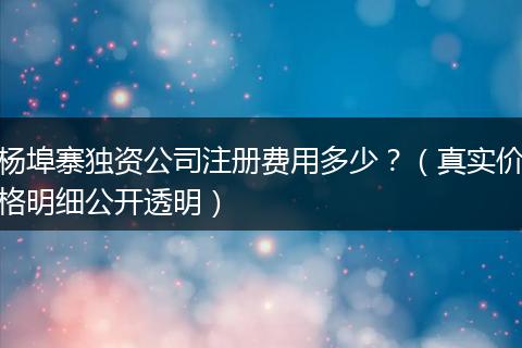 杨埠寨独资公司注册费用多少？（真实价格明细公开透明）
