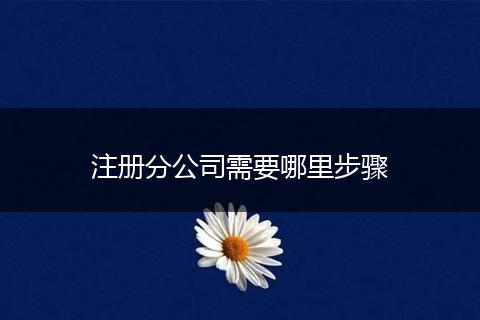 注册分公司需要哪里步骤