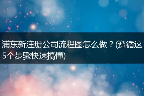 浦东新注册公司流程图怎么做？(遵循这5个步骤快速搞懂)