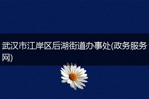 武汉市江岸区后湖街道办事处(政务服务网)