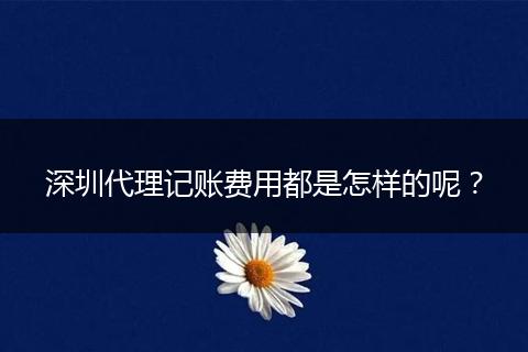 深圳代理记账费用都是怎样的呢？
