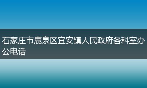 石家庄市鹿泉区宜安镇人民政府各科室办公电话