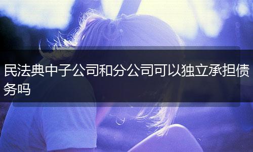 民法典中子公司和分公司可以独立承担债务吗