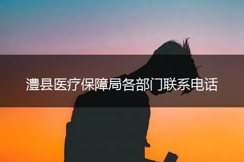 澧县医疗保障局各部门联系电话