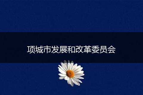 项城市发展和改革委员会