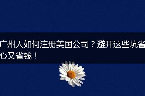 广州人如何注册美国公司？避开这些坑省心又省钱！