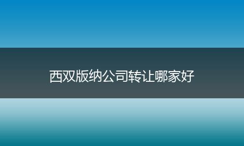 西双版纳公司转让哪家好