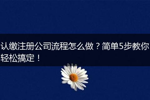 认缴注册公司流程怎么做？简单5步教你轻松搞定！