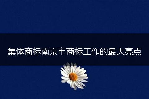 集体商标南京市商标工作的最大亮点
