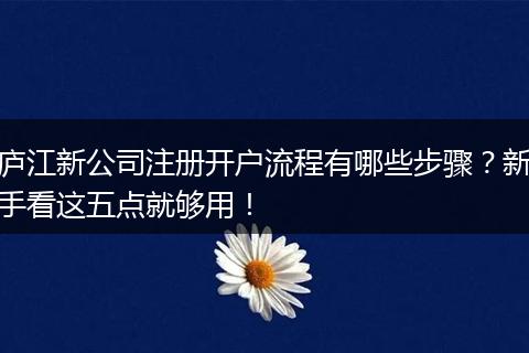 庐江新公司注册开户流程有哪些步骤？新手看这五点就够用！