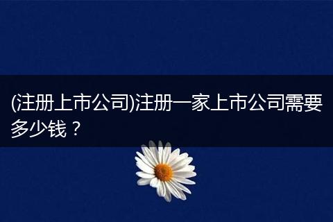 (注册上市公司)注册一家上市公司需要多少钱？