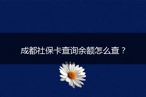 成都社保卡查询余额怎么查？