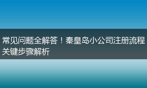 常见问题全解答！秦皇岛小公司注册流程关键步骤解析