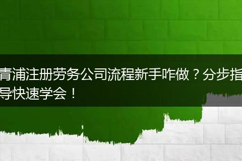 青浦注册劳务公司流程新手咋做？分步指导快速学会！
