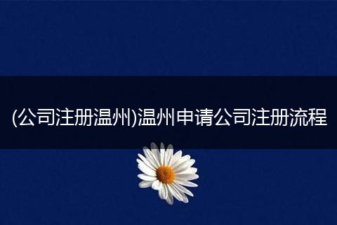 (公司注册温州)温州申请公司注册流程