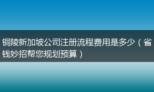 铜陵新加坡公司注册流程费用是多少（省钱妙招帮您规划预算）