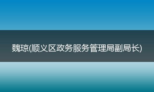 魏琼(顺义区政务服务管理局副局长)