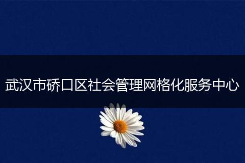 武汉市硚口区社会管理网格化服务中心