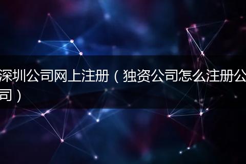 深圳公司网上注册(独资公司怎么注册公司)