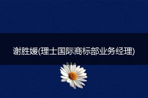 谢胜媛(理士国际商标部业务经理)