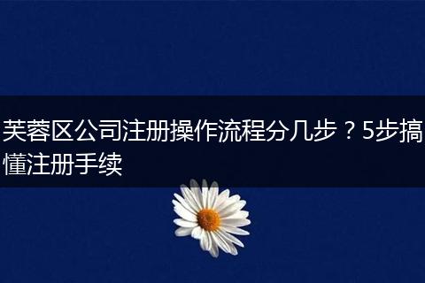 芙蓉区公司注册操作流程分几步？5步搞懂注册手续