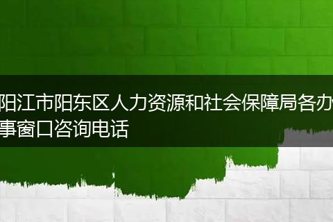 阳江市阳东区人力资源和社会保障局各办事窗口咨询电话