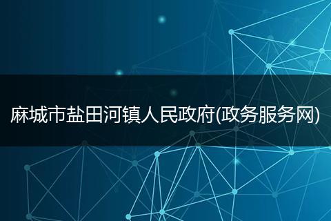 麻城市盐田河镇人民政府(政务服务网)