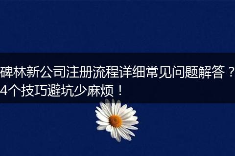 碑林新公司注册流程详细常见问题解答？4个技巧避坑少麻烦！