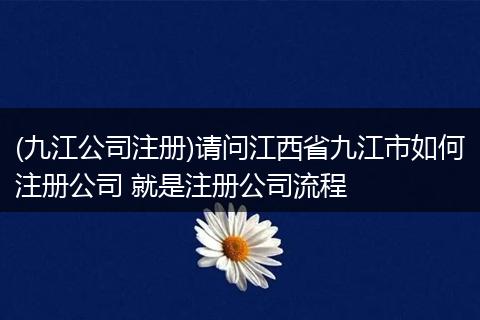 (九江公司注册)请问江西省九江市如何注册公司 就是注册公司流程