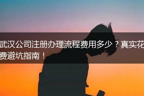 武汉公司注册办理流程费用多少？真实花费避坑指南！