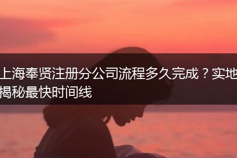 上海奉贤注册分公司流程多久完成？实地揭秘最快时间线