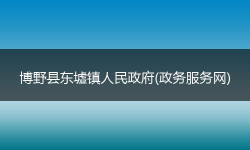 博野县东墟镇人民政府(政务服务网)