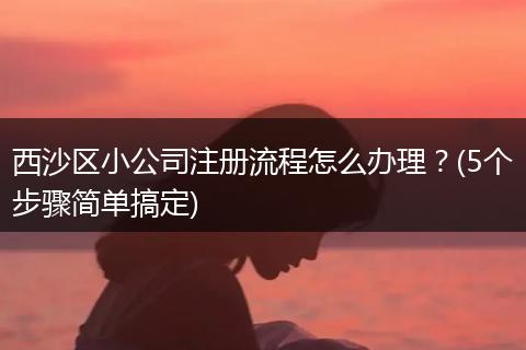 西沙区小公司注册流程怎么办理?(5个步骤简单搞定)