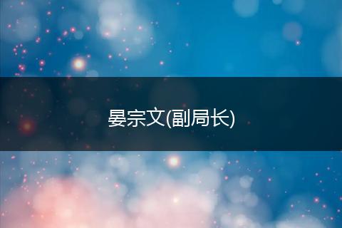 晏宗文(副局长)