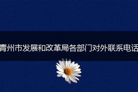 青州市发展和改革局各部门对外联系电话
